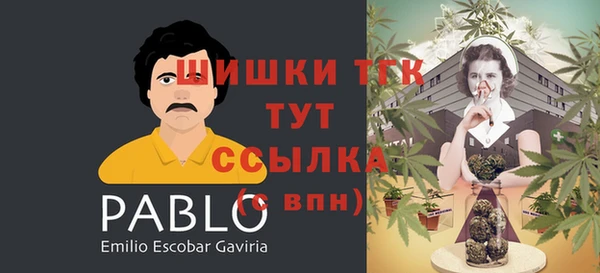 гидропоника Армянск