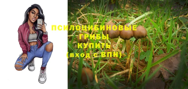 меф Арсеньев