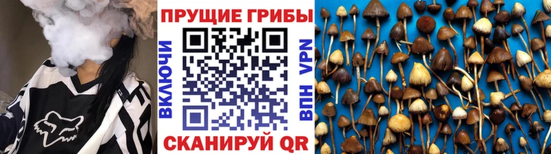 Купить  Барабинск  Псилоцибиновые грибы GOLDEN TEACHER 